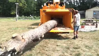 Extreme Fast Wood Chipper Machine Modern Technology - Amazing Wood Processor Big Tree Shredder Easy