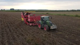 Kartoffeln Roden (Fendt 516/Grimme SE 150-60)