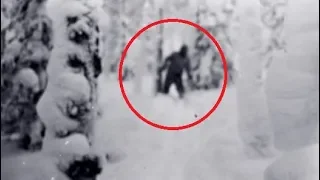 Bigfoot Files: The TRUTH Behind the Legend