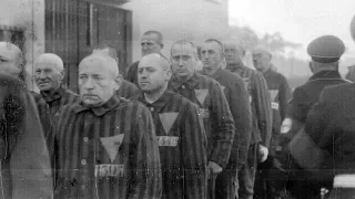 «Борьба за память»: почему в России нет Национального дня памяти жертв Холокоста?