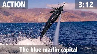 Cape Verde the Blue Marlin Capital