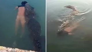 Giant 11-Foot Crocodile Carrying Naked Dead Man Through Mexican lagoon (Video) By Ikko News