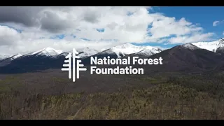50 Million For Our Forests: A Fundraising Achievement