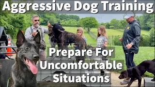 Aggressive Dutch Shepherd / Malinois Cross | Prepare Your Dog For Uncomfortable Situations