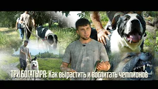 ТРИ БОГАТЫРЯ: Как вырастить и воспитать чемпионов