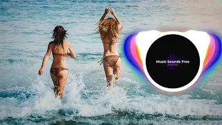 💯💥💨BraveLion - Racoon Play💯💥💨 (No Copyright) Music for blogs and movies 音樂流行