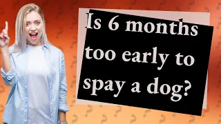 Is 6 months too early to spay a dog?