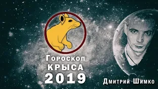 Гороскоп Крыса -2019. Астротиполог, Нумеролог - Дмитрий Шимко