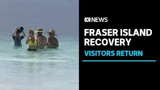 Tourists flock back to Fraser Island after rains dampen down bushfire-hit areas | ABC News