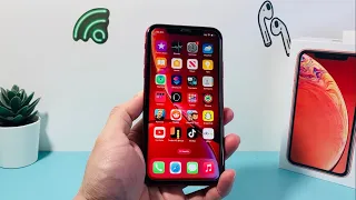 iPhone XR Worth It in 2024? (Review)