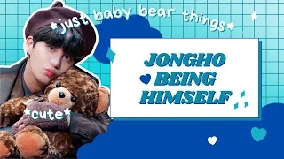 JONGHO BEING JONGHO | (just baby bear things)