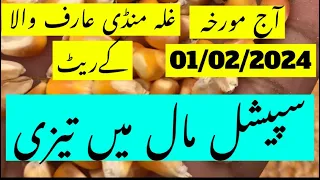 Maki rate|maize rate||paddy rice rate||corn rate today|| galla mandi rate Punjab Pakistan 🇵🇰