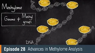 NEB TV Ep. 28 Advances in Methylome Analysis