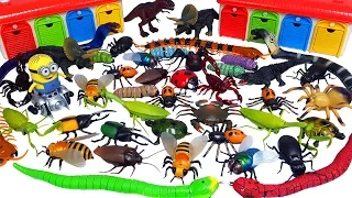 RC곤충 거미 바퀴 벌레 헥스버그  사마귀 꿀벌 파리 RC공룡 전갈 악어 도마뱀 RC동물 장난감