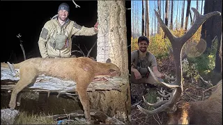 MOUNTAIN LION KILLED IN SELF DEFENSE | Lion and 6x6 Elk Hunt in Idaho | S7E13 | Limitless Outdoors