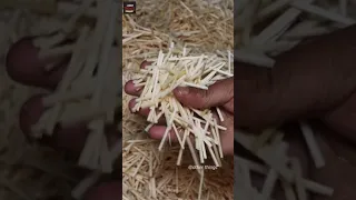 The Amazing Process of Match Making #MatchSticks#Matches#Making#