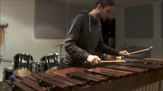 Alan Walker - Faded | Marimba Cover by Alexander Schug