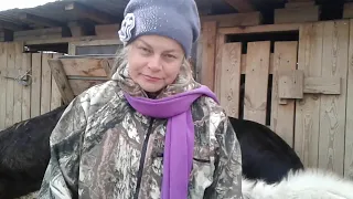 Сколько козы живут? 🐐