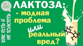 ЛАКТОЗА: непереносимость, польза и вред, безлактозные продукты. Правда и мифы.