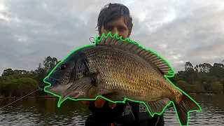 The Biggest Bream I've Ever Seen!