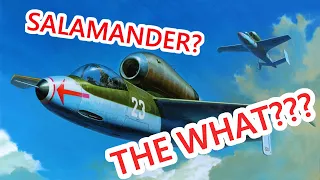 The Salamander That Could Have Saved Germany (He 162)