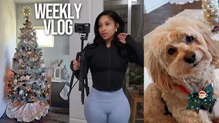 WEEKLY VLOG: FINALLY PUTTING UP MY TREE, DOG MOM DUTIES, DIY HOT COCOA BAR & MORE!!