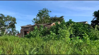 Help single women clean up the garden of the abandoned house to grow clean vegetables