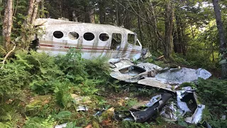 Abandoned Airplane in the Middle of the Woods