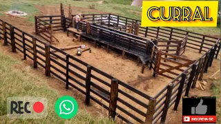 CURRAL PARA O SEU GADO - Construção de curral de madeira - pecuária sustentável- curral pronto 🐂🔝