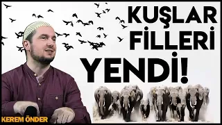 Kuşlar filleri yendi! - Fil suresi tefsiri / 18.06.2019 / Kerem Önder