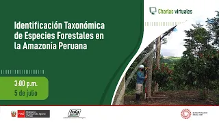 Identificación Taxonómica de Especies Forestales en la Amazonía Peruana