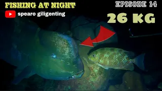 bumphead parrotfish || NIGHT SPEARFISHING EPISODE 14