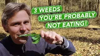 3 Weeds You're Probably Not Eating