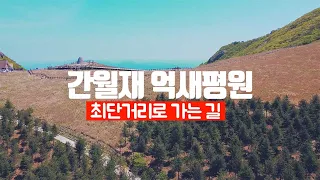 간월재 억새평원을 최단거리로 올라가는 법