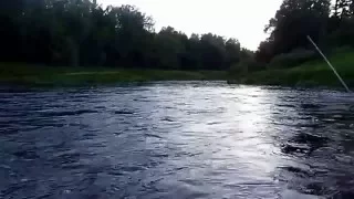 Рыбалка на реке Межа  fishing in Russia on the river Mezha