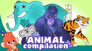 Learn Animals for Kids | Animal videos Compilation for Children | Club Baboo