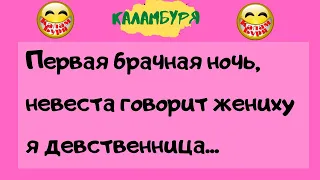 Первая брачная ночь. Подборка самых ржачных анекдотов. Юмор. Смех. Приколы. Ржач.