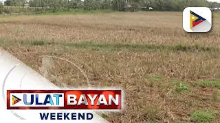 Epekto ng El Niño, ramdam na sa walong lalawigan sa bansa