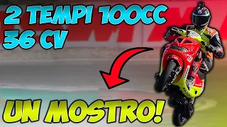 171KM/H with the most POWERFUL MALOSSI 100cc ZIP EVER! 😱"MALOSSI SPECIAL" EP.4