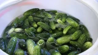 A Few Key Things to Know About Pickles & Cucumbers