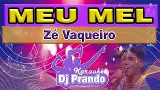 Karaoke (cover) Meu mel - Zé Vaqueiro