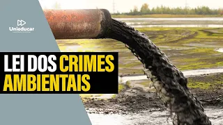 Disposições Gerais - Crimes Ambientais