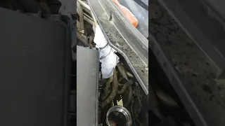 Honda Accord 2013 fuel filter change element type