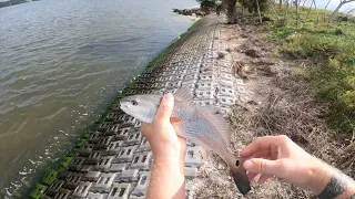 Trout Fishing in the Indian River Lagoon