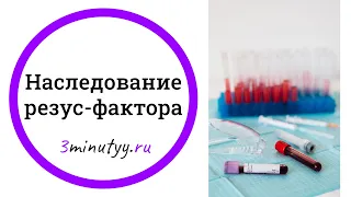 Наследование и определение резус-фактора, агглютинация | биология