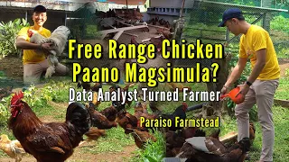 Free Range Chicken - Paano Magsimula? Data Analyst na Zoom, Naging Farmer Part 1