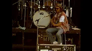 Neil Young - The Needle And The Damage Done