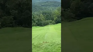 Caleb Hall throws the World’s Longest Recorded Ace. North Cove DGC. Star Destroyer, 611 ft! #shorts