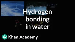Hydrogen bonding in water | Water, acids, and bases | Biology | Khan Academy