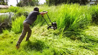 Mowing Overgrown Grass Taller Than Me